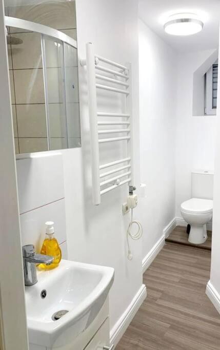 Central Studio Flat Bükreş Dış mekan fotoğraf