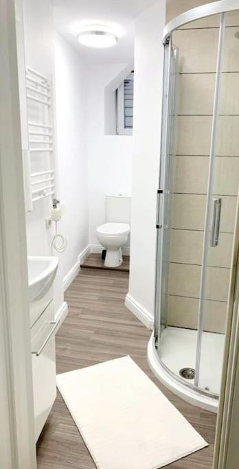 Central Studio Flat Bükreş Dış mekan fotoğraf